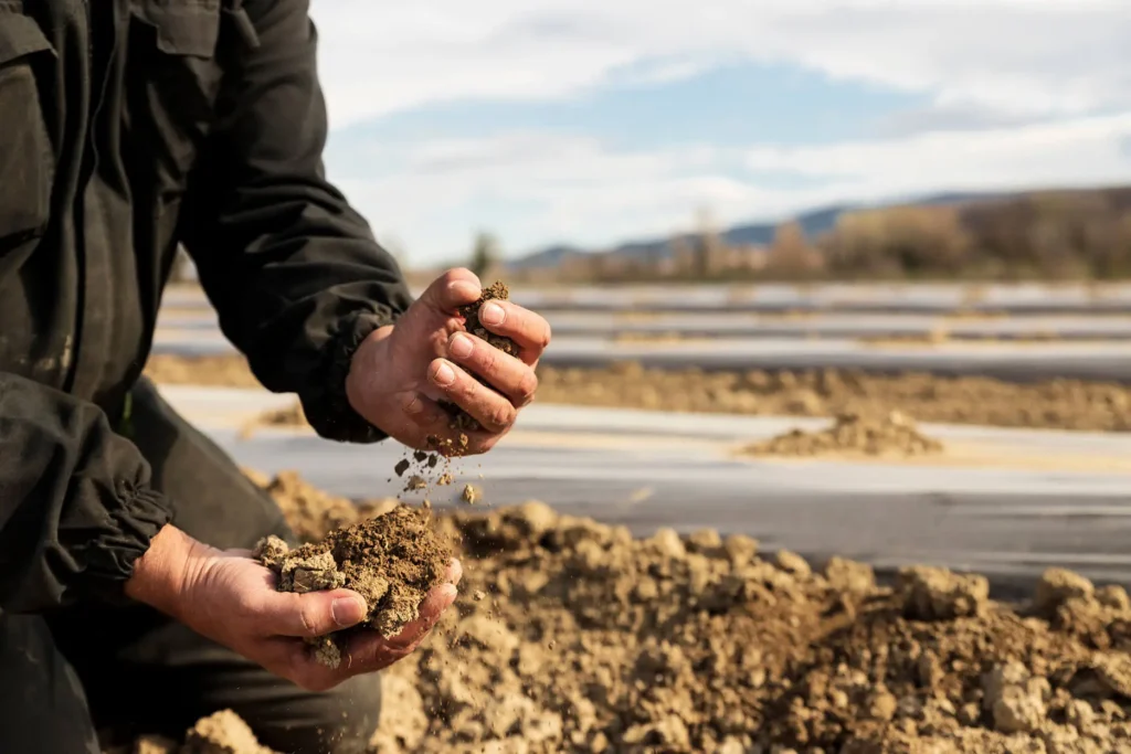 mani che raccolgono la terra in un terreno coltivato